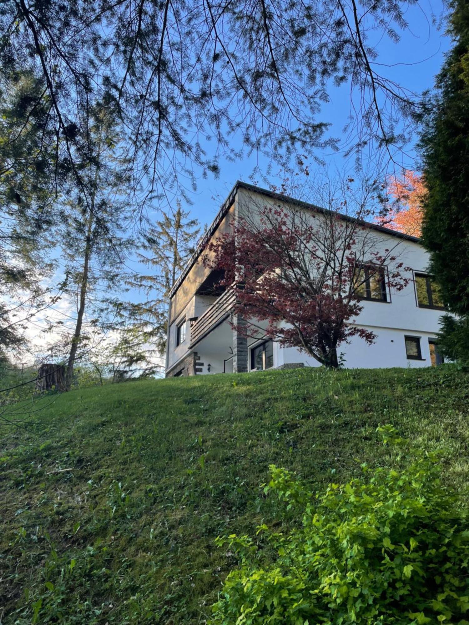 Talblick Chalet Blankenheim بلانكينهييم المظهر الخارجي الصورة