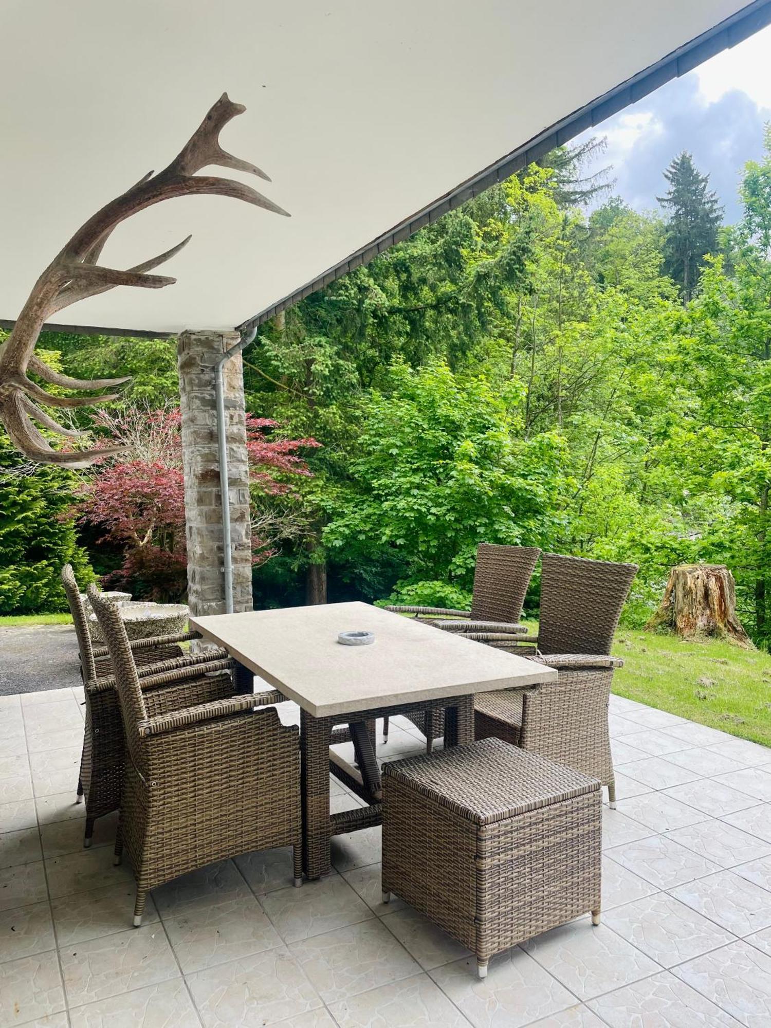 Talblick Chalet Blankenheim بلانكينهييم المظهر الخارجي الصورة